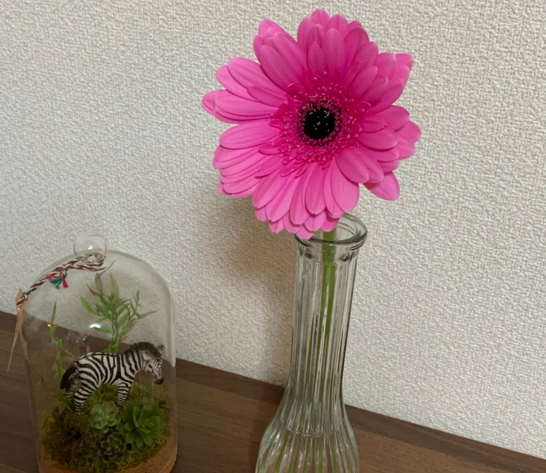 お花２